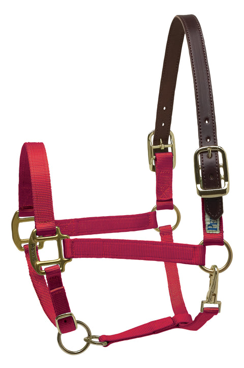 Perri’s® Premium Nylon Breakaway Halter