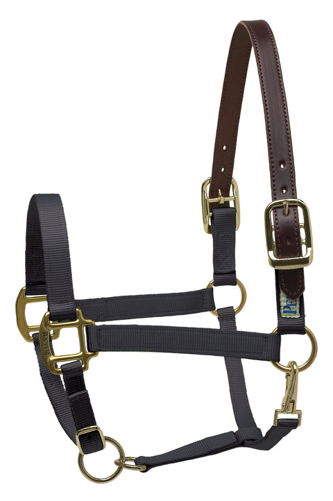Perri’s® Premium Nylon Breakaway Halter