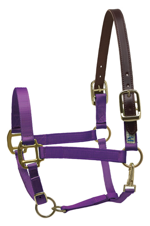 Perri’s® Premium Nylon Breakaway Halter