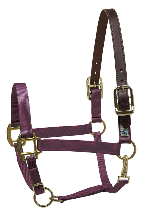 Perri’s® Premium Nylon Breakaway Halter