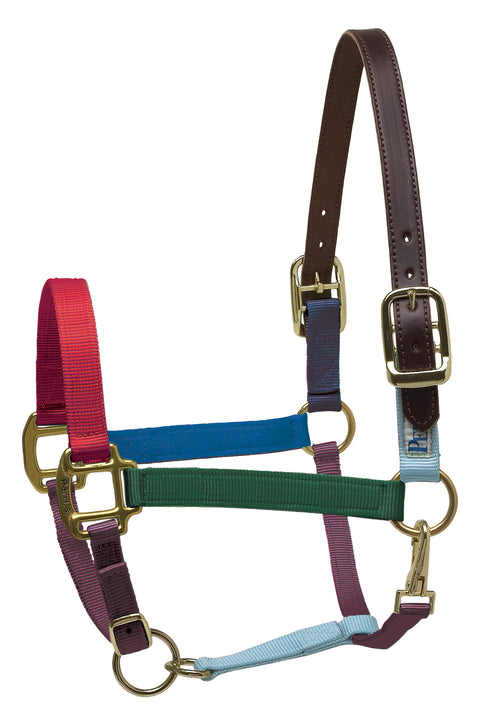 Perri’s® Premium Nylon Breakaway Halter