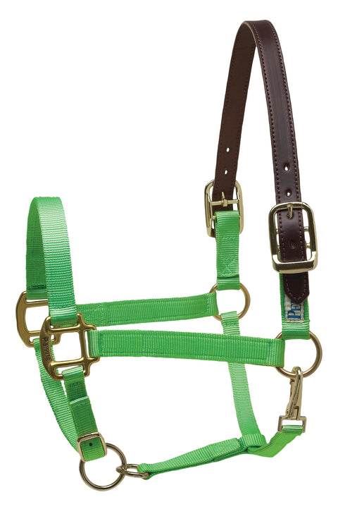 Perri’s® Premium Nylon Breakaway Halter