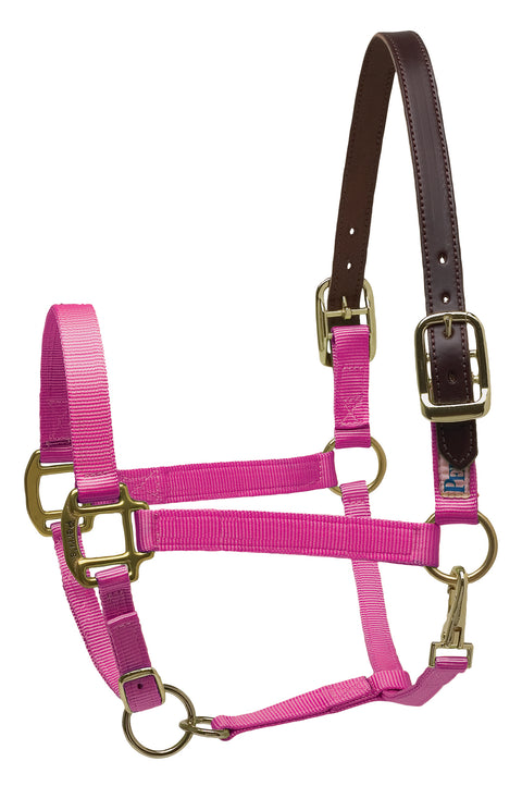 Perri’s® Premium Nylon Breakaway Halter