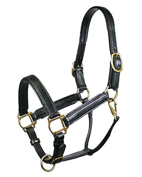 Tory Leather Company Padded Leather Halter