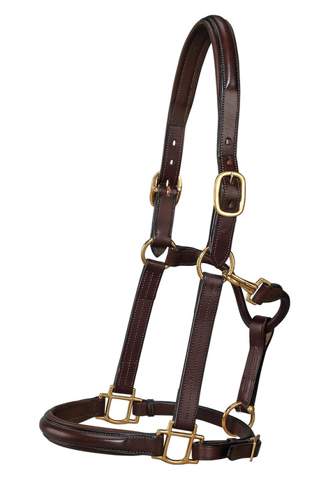 DS Classic Plain Raised Padded Halter