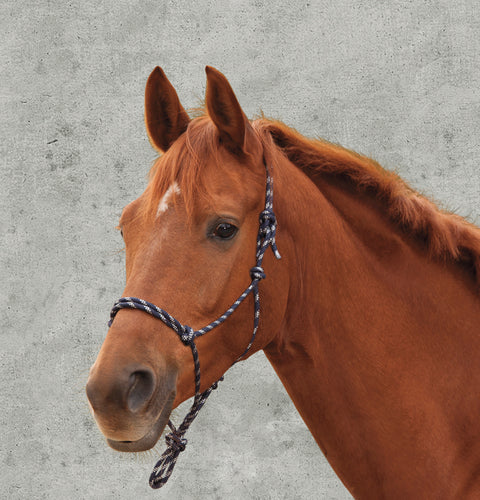 Waldhausen Knotted Rope Halter