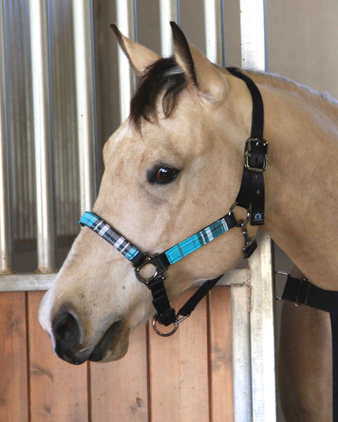 Kensington™ Premium Halter