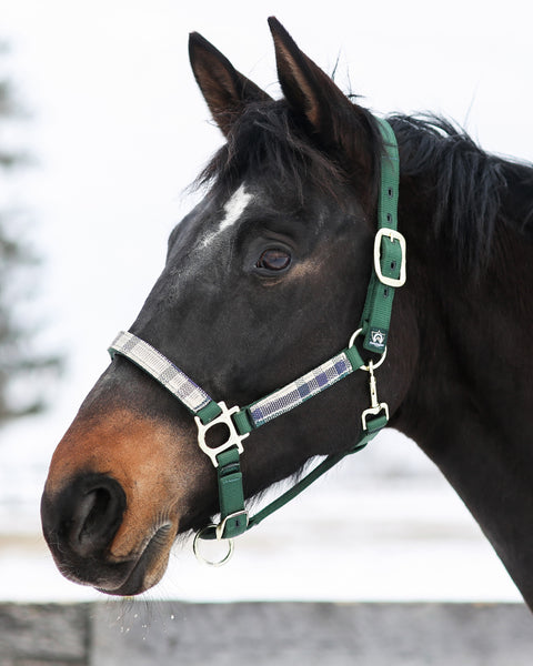 Kensington™ Premium Halter