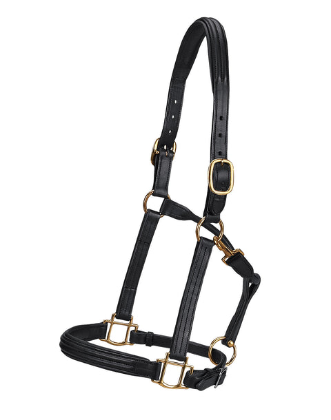 Vespucci Double Raised Halter