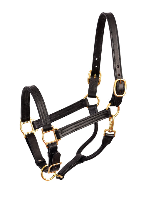 Perri’s® Premium Leather Show Halter