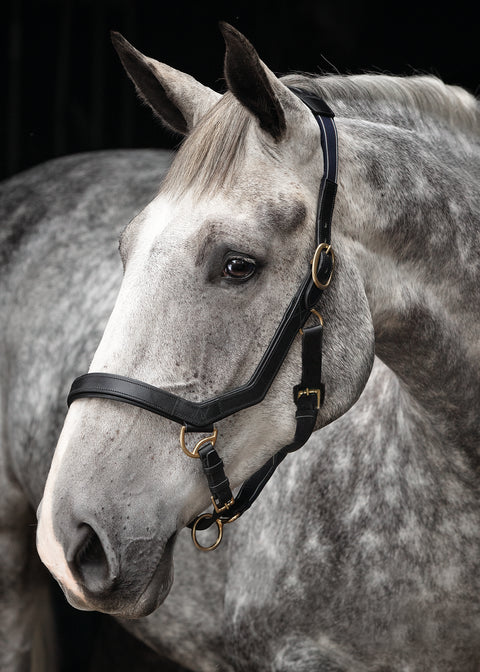 Horseware® Rambo® Micklem® Halter