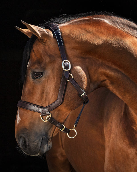 Horseware® Rambo® Micklem® Halter