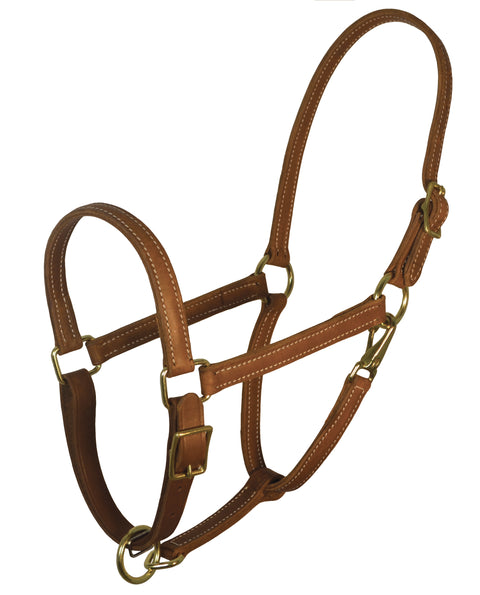 Perri’s® 7/8" Value Work Halter