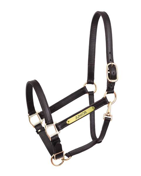 Perri’s® Yearling Leather Turnout Halter