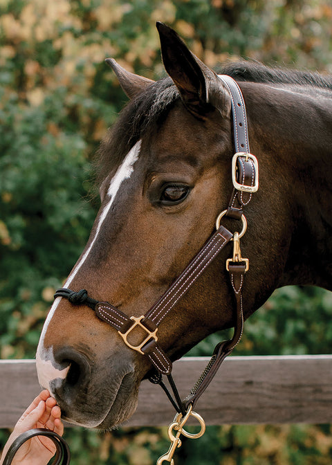 Walsh™ Rope Nose British Halter
