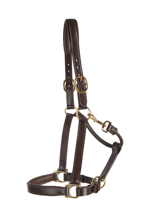 Suffolk™ Everyday Halter