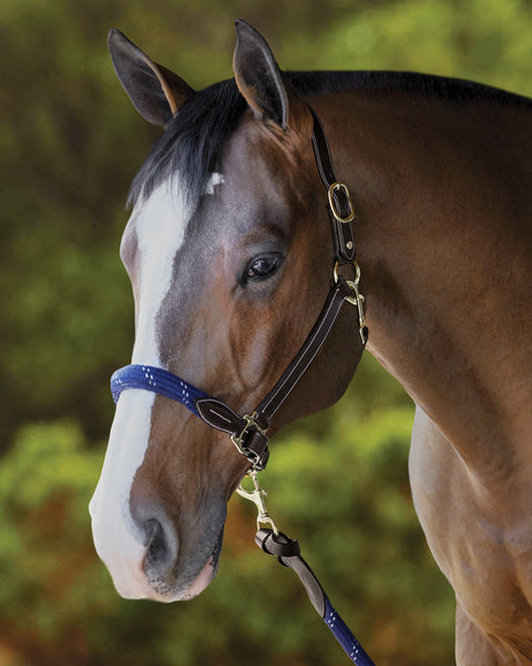 Suffolk™ Leather & Rope Halter with Lead