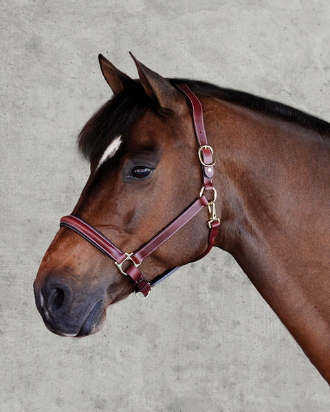 Suffolk™ Ergonomic Halter