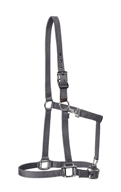 Suffolk™ Nylon Breakaway Halter