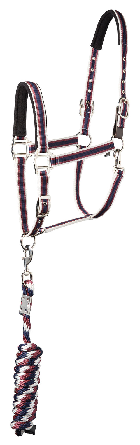 Suffolk™ Padded Striped Breakaway Halter & Lead