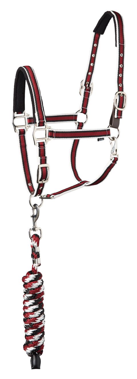 Suffolk™ Padded Striped Breakaway Halter & Lead