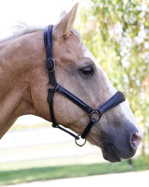 Halter Ego® Doc Marten Padded Halter