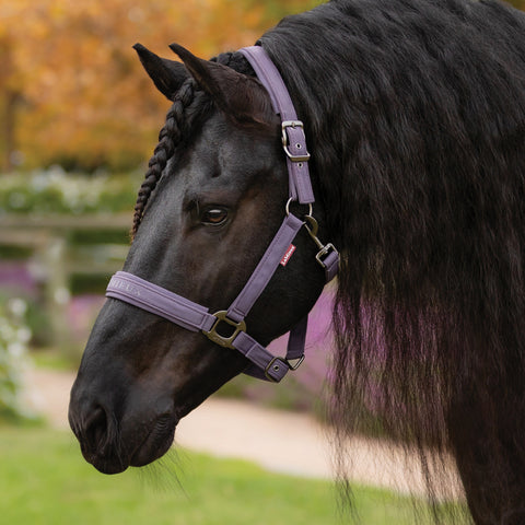 LeMieux® Essence Halter