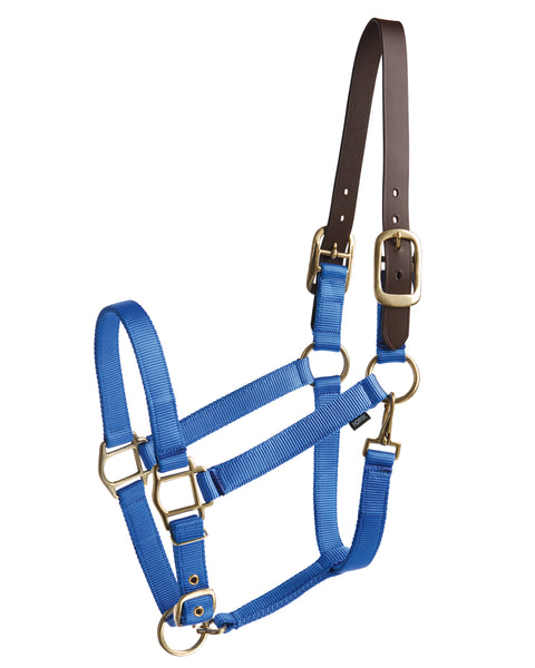 Suffolk™ Heavy Nylon Halter with Breakaway Crown
