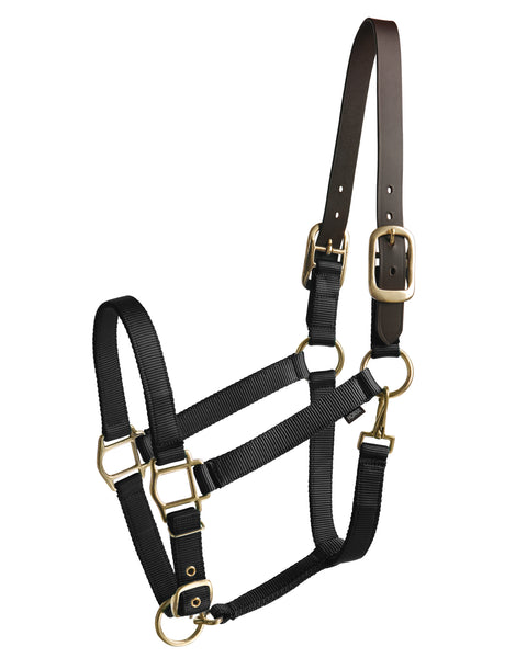 Suffolk™ Heavy Nylon Halter with Breakaway Crown