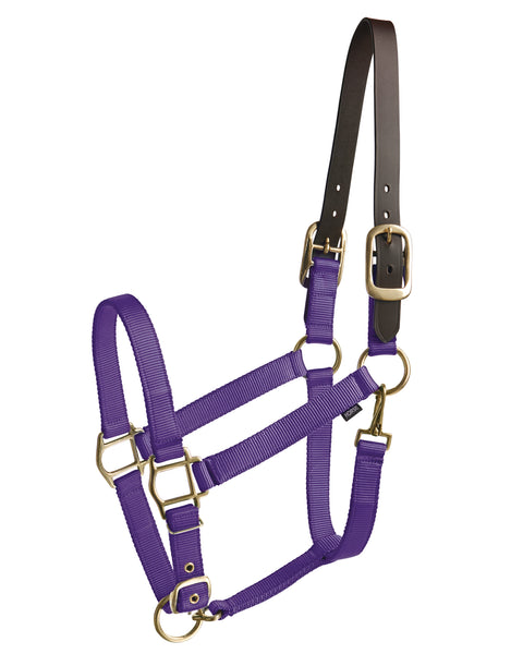 Suffolk™ Heavy Nylon Halter with Breakaway Crown