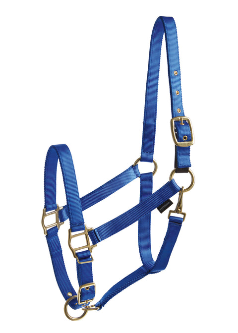 Suffolk™ Heavy Nylon Breakaway Halter with Fuse