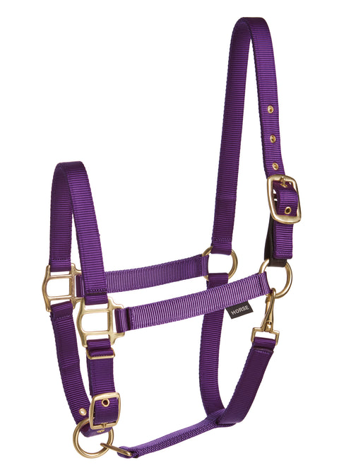 Suffolk™ Heavy Nylon Breakaway Halter with Fuse
