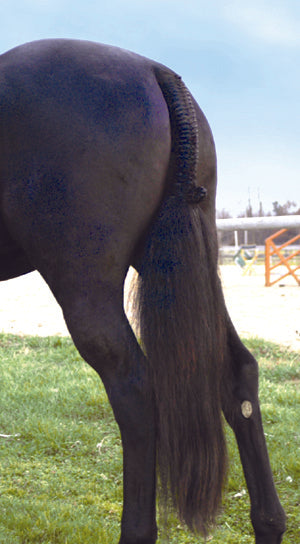 Tail Tamer® Hunter Trophy Tails™