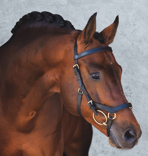 The Rambo® Micklem® Original Multibridle