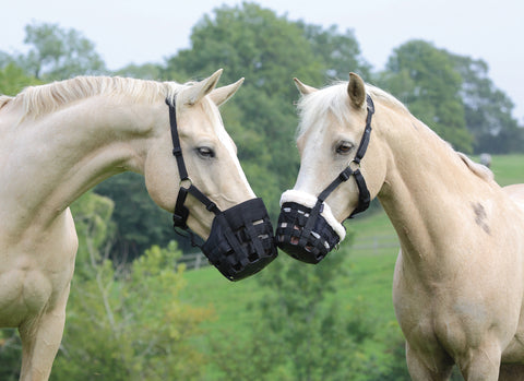 Shires Deluxe Grass Muzzle