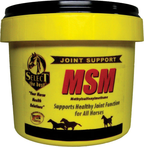 Select MSM Joint Supplement
