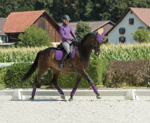 LeMieux® Classic Fly Hood