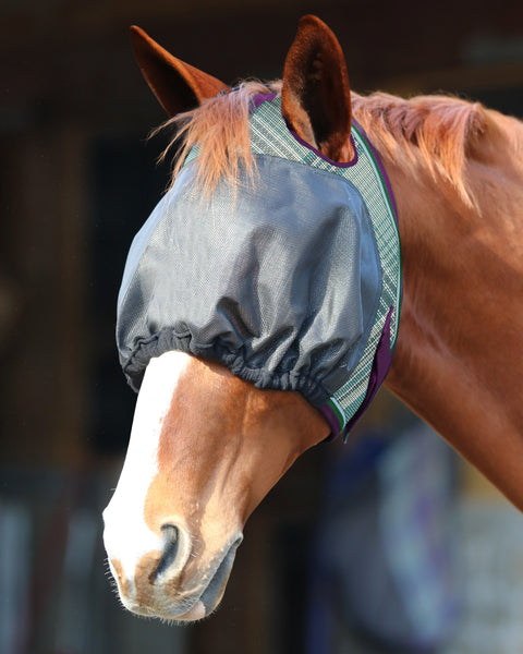 Kensington™ UViator Dartless Fly Mask with Web Trim & Forelock Opening