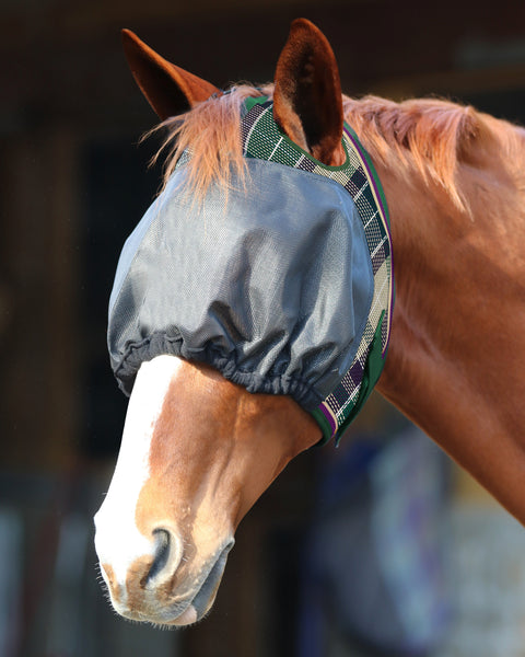 Kensington™ UViator Dartless Fly Mask with Web Trim & Forelock Opening