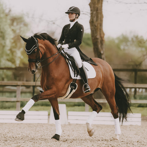 Kentucky Horsewear Wellington Big Stone & Pearl Fly Veil