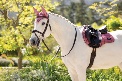 LeMieux® Loire Fly Bonnet