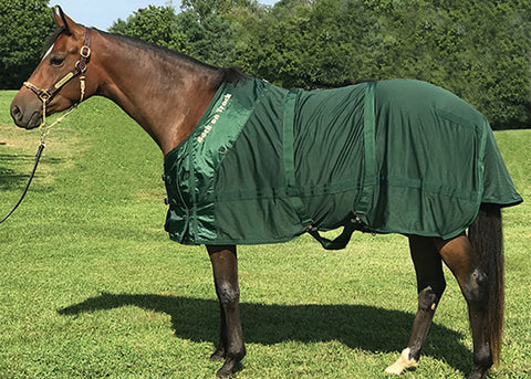 Back on Track® Therapeutic Mesh Horse Sheet
