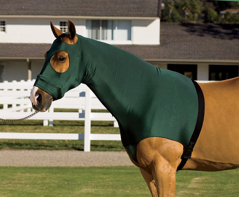 Flex Rider® Stretchies™ Hood