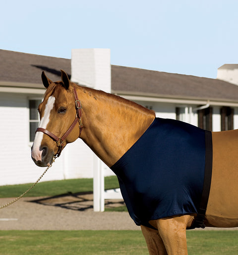 Stretchies® Shoulder Guard