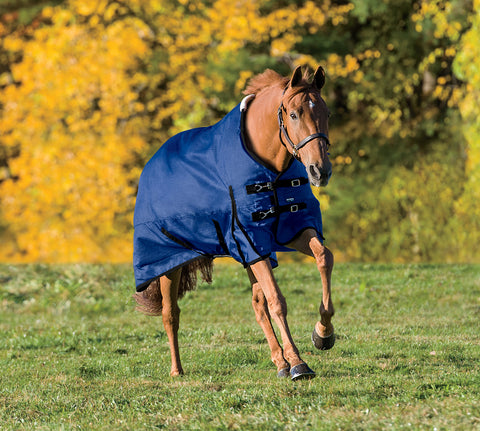 Rider’s International™ Supreme Turnout Sheet