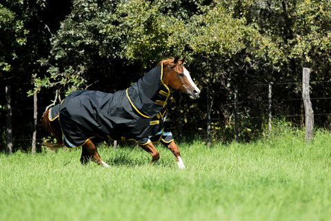Horseware® Ireland Rambo® Supreme 50 Gram Lite Turnout