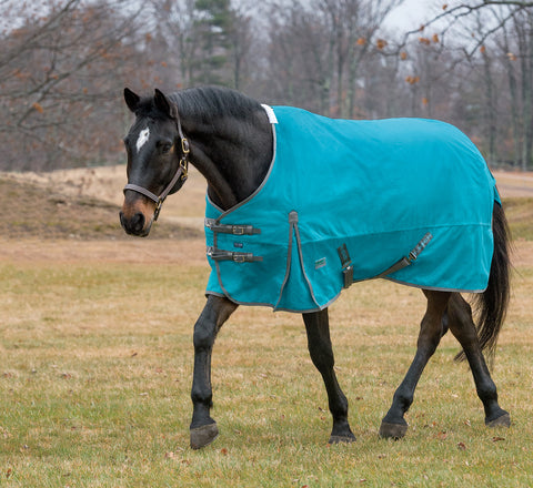 Rider’s International™ Supreme Heavyweight Turnout Blanket