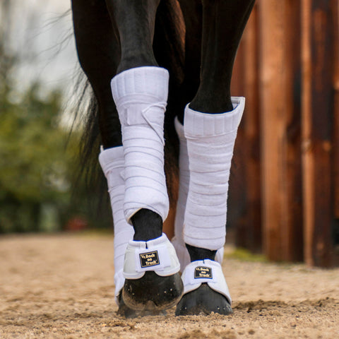 Back on Track® Scandic PK Performance Wraps