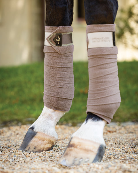 LeMieux® Loire Polo Wraps