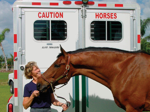 Caution Horses Sign